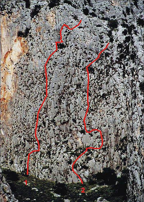 SMERI foto T.Tišler