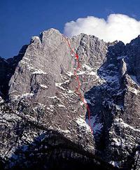 OVCA  foto Š.Mlinarič