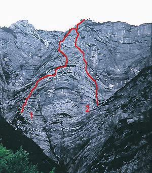 MALI PRŠIVEC foto Š.Mlinarič